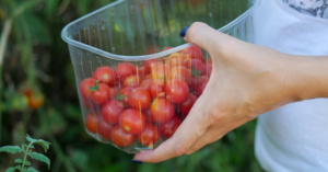 Container Gardening Vegetables: Transform Your Space with These Tips